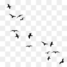 Detail Gambar Animasi Burung Terbang Png Nomer 29