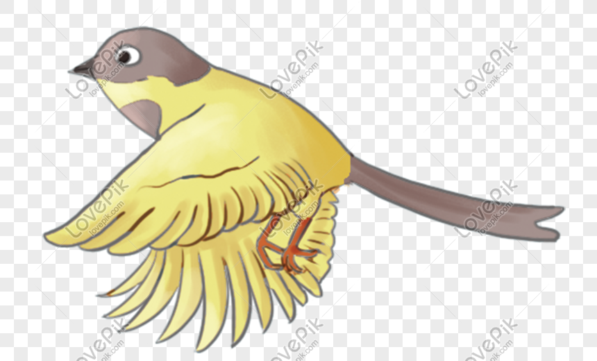 Detail Gambar Animasi Burung Terbang Png Nomer 5