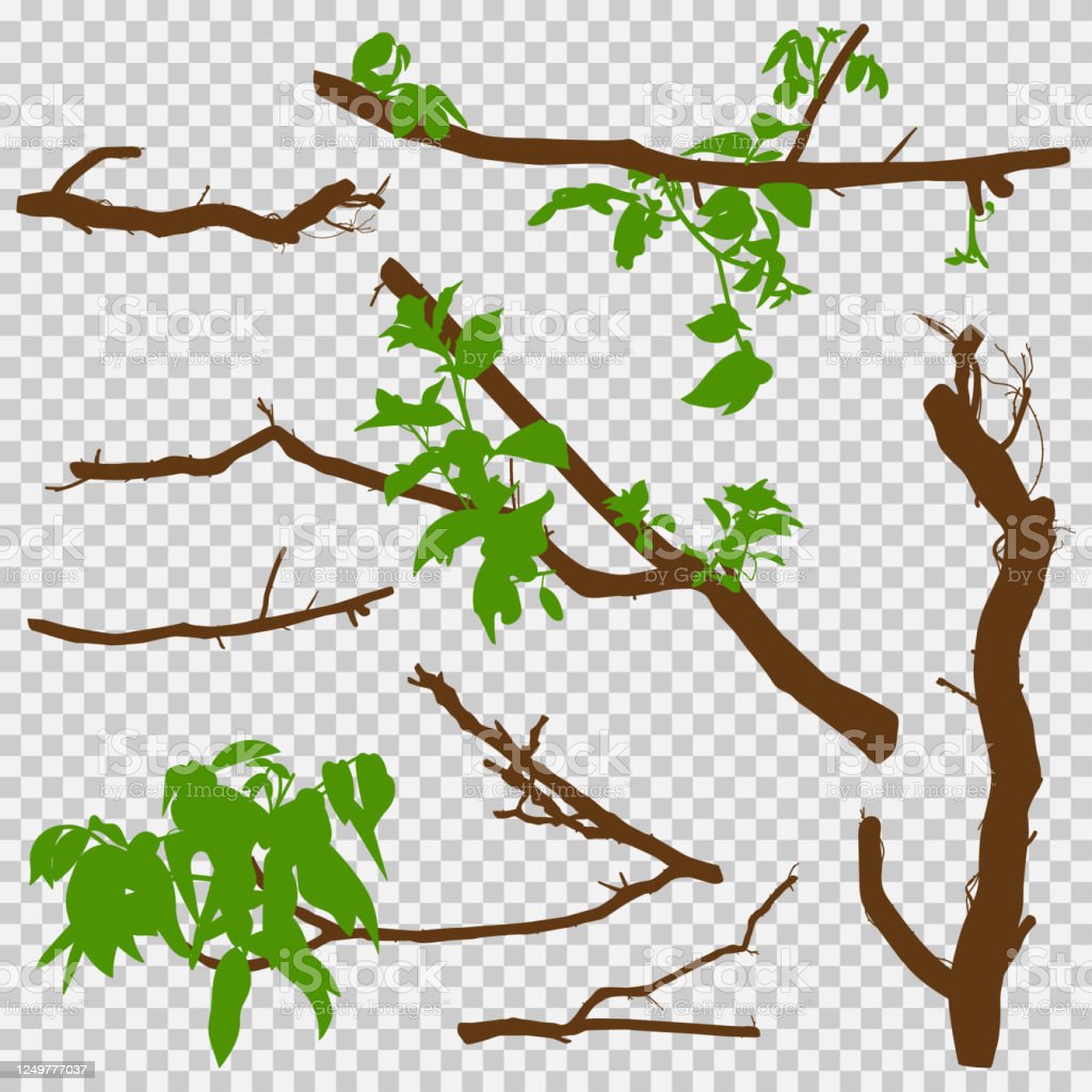 Detail Gambar Animasi Cabang Dan Ranting Pohon Nomer 20