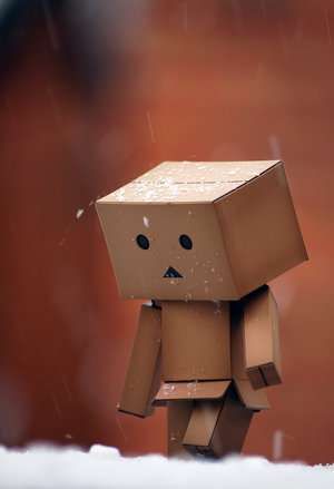 Detail Gambar Animasi Danbo Nomer 16