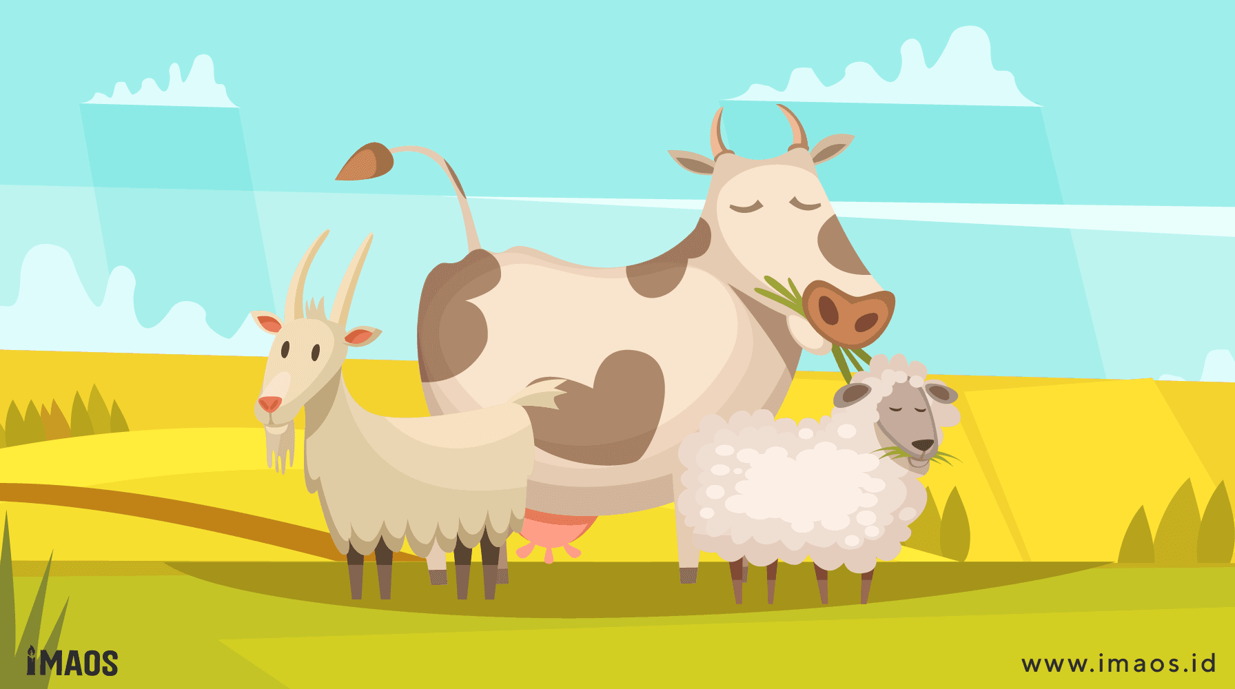 Detail Gambar Animasi Domba Qurban Nomer 2