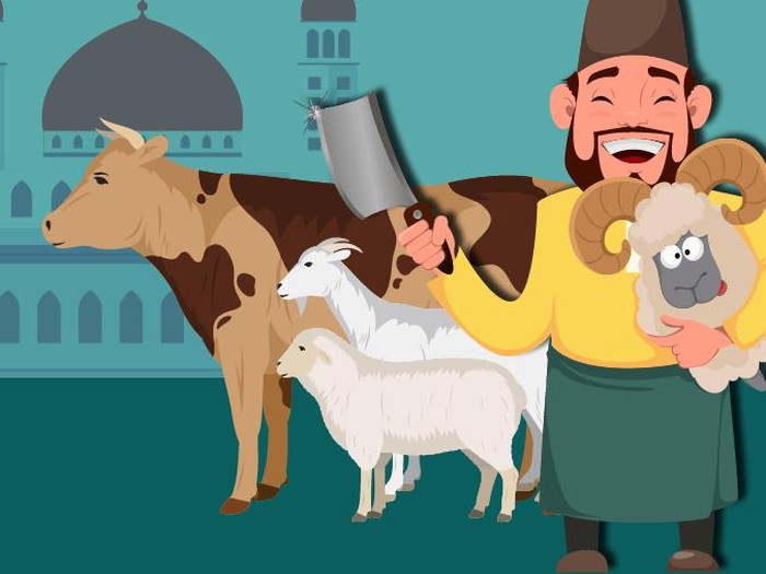 Detail Gambar Animasi Domba Qurban Nomer 7