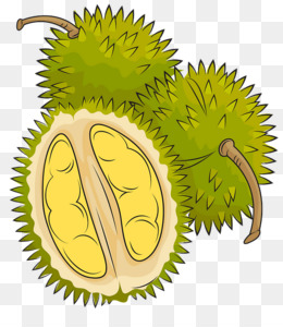 Detail Gambar Animasi Durian Nomer 15