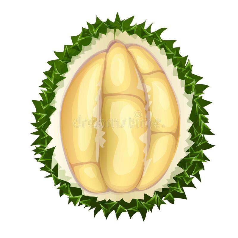 Detail Gambar Animasi Durian Nomer 29