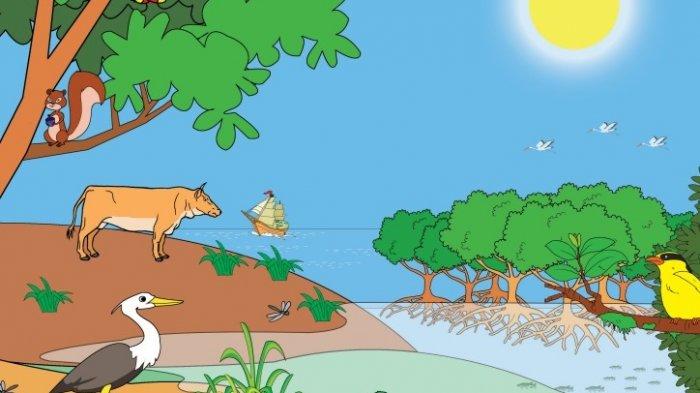 Detail Gambar Animasi Ekosistem Hutan Nomer 22