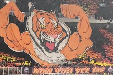 Detail Gambar Animasi Harimau Ps Nomer 18