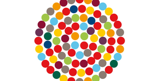 Detail Inklusion Bild Nomer 27