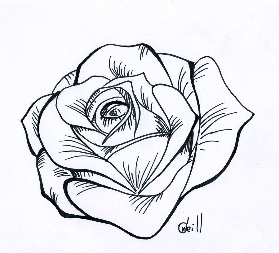 Detail Verwelkte Rose Tattoo Nomer 17