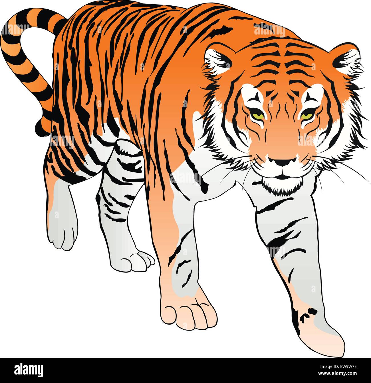 Detail Black Tiger Pic Nomer 21