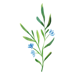 Detail Blaue Blumen Hintergrund Nomer 12