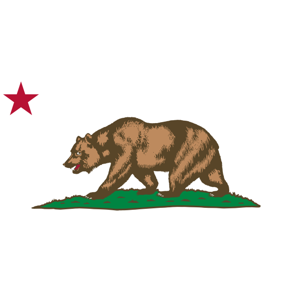 Detail California Bear Nomer 12
