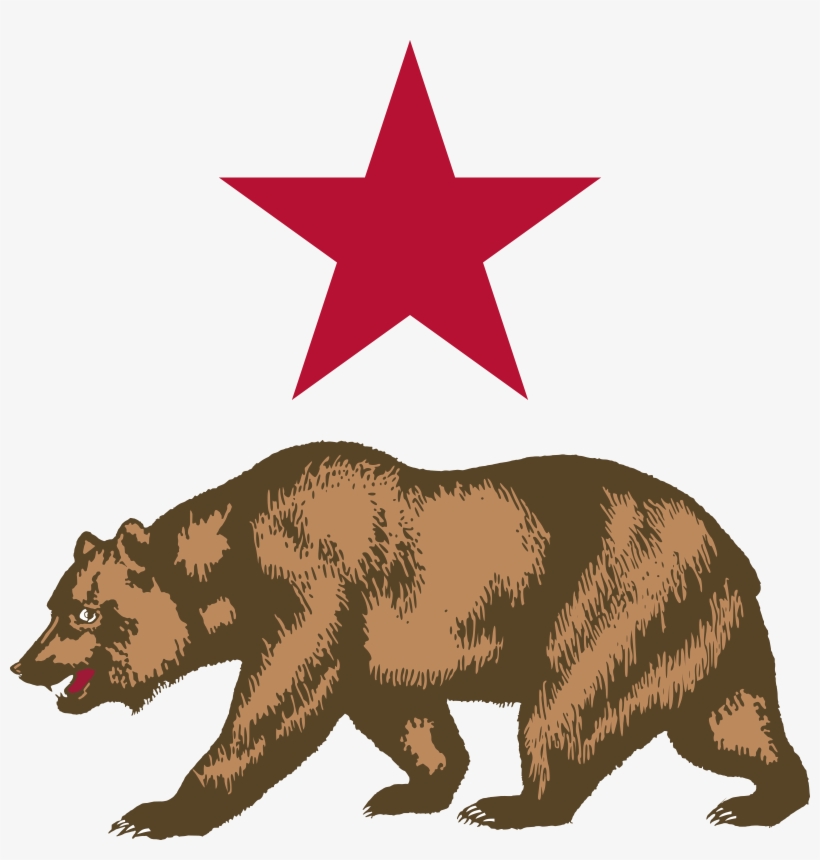 Detail California Bear Nomer 2
