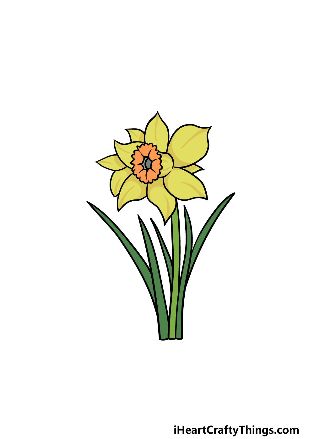 Detail Daffodil Drawing Nomer 2