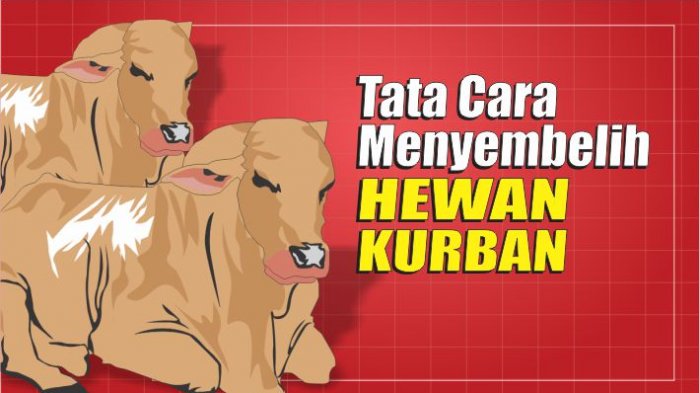 Detail Gambar Animasi Hewan Kurban Nomer 53