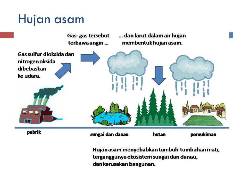 Detail Gambar Animasi Hujan Asam Nomer 44