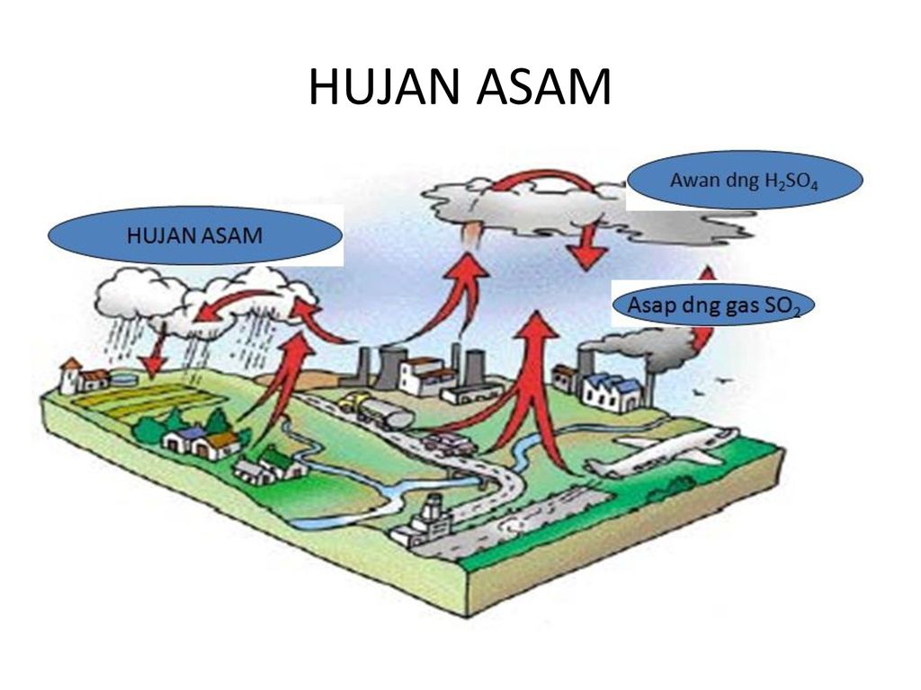 Detail Gambar Animasi Hujan Asam Nomer 49