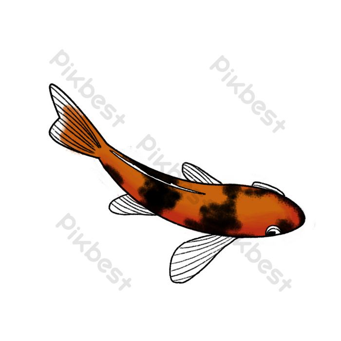 Detail Gambar Animasi Ikan Koi Nomer 43