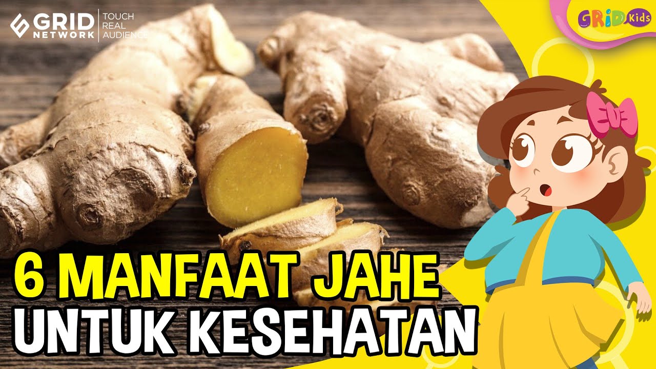 Detail Gambar Animasi Jahe Nomer 53