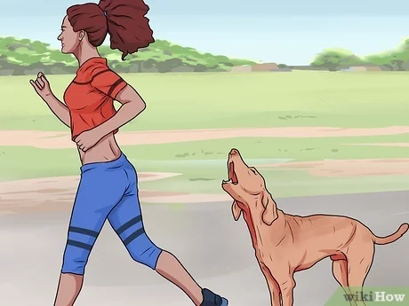 Detail Gambar Animasi Jogging Di Kejar Anjing Nomer 9