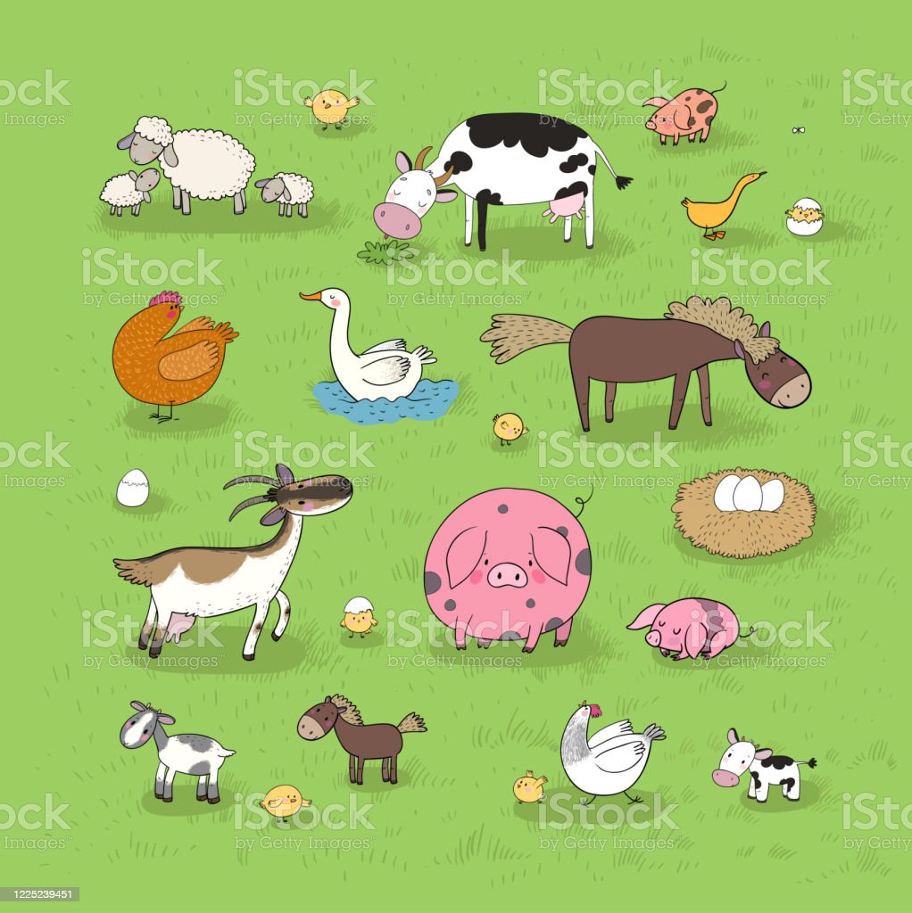 Detail Gambar Animasi Kambing Dan Sapi Nomer 23