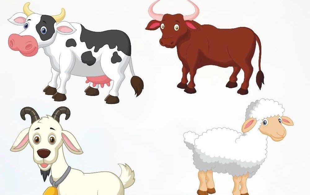 Detail Gambar Animasi Kambing Dan Sapi Nomer 6