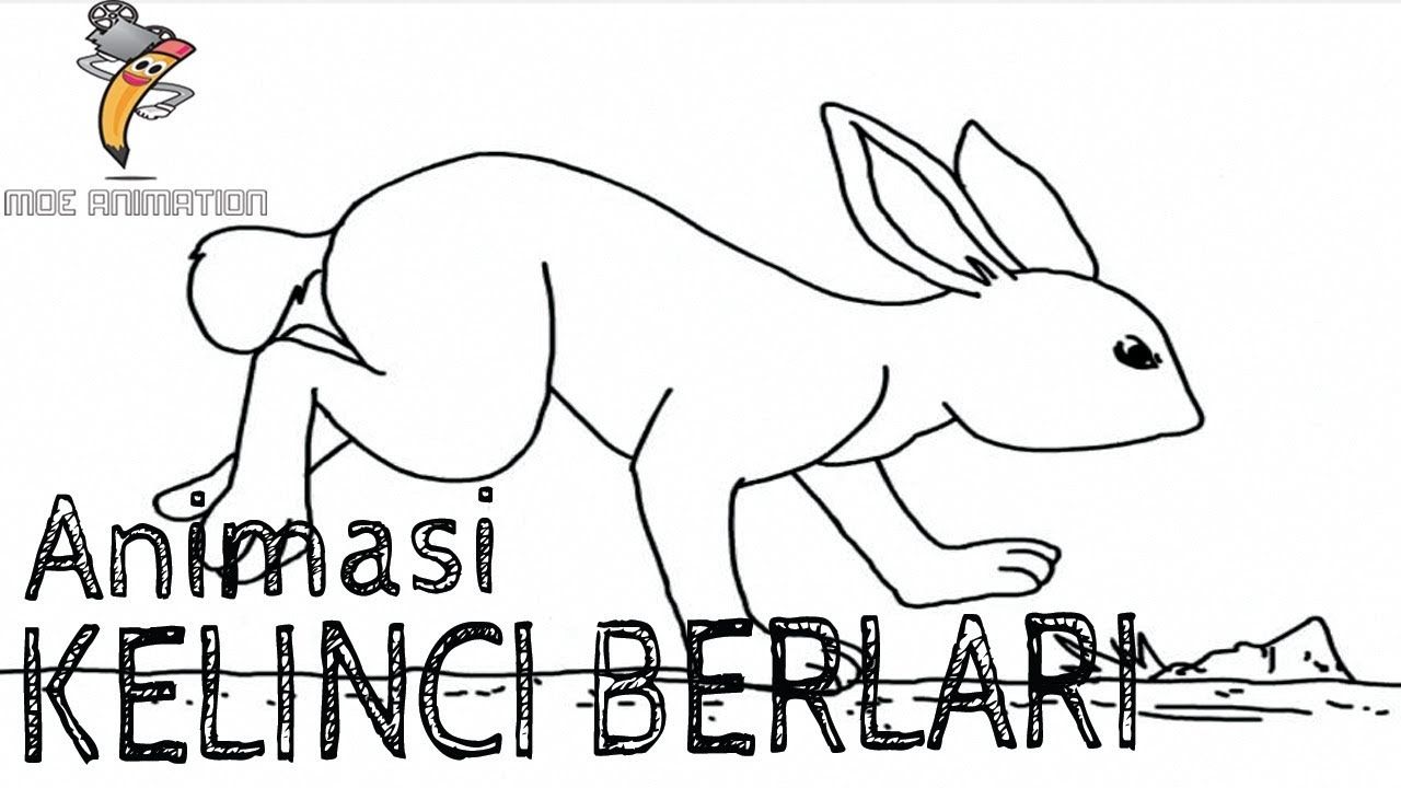 Gambar Animasi Kelinci Berlari - KibrisPDR