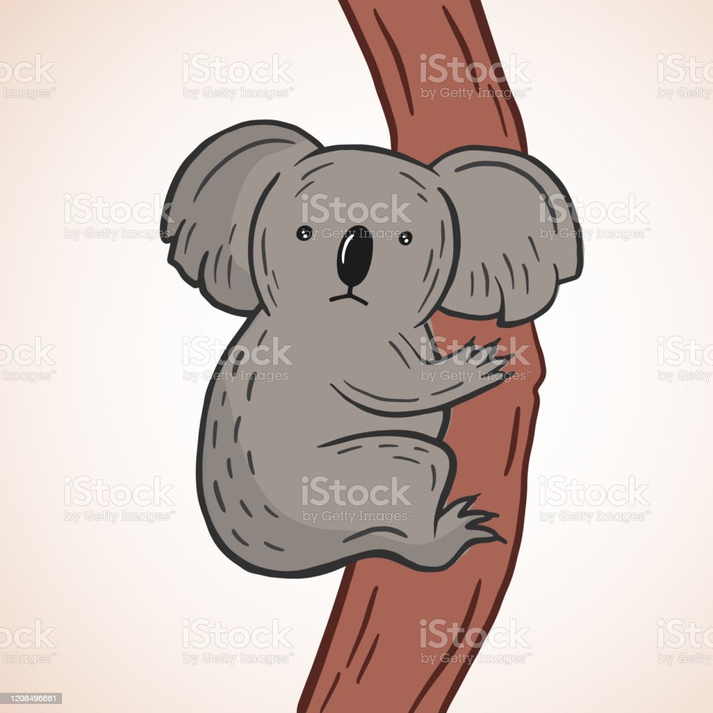 Detail Gambar Animasi Koala Nomer 55