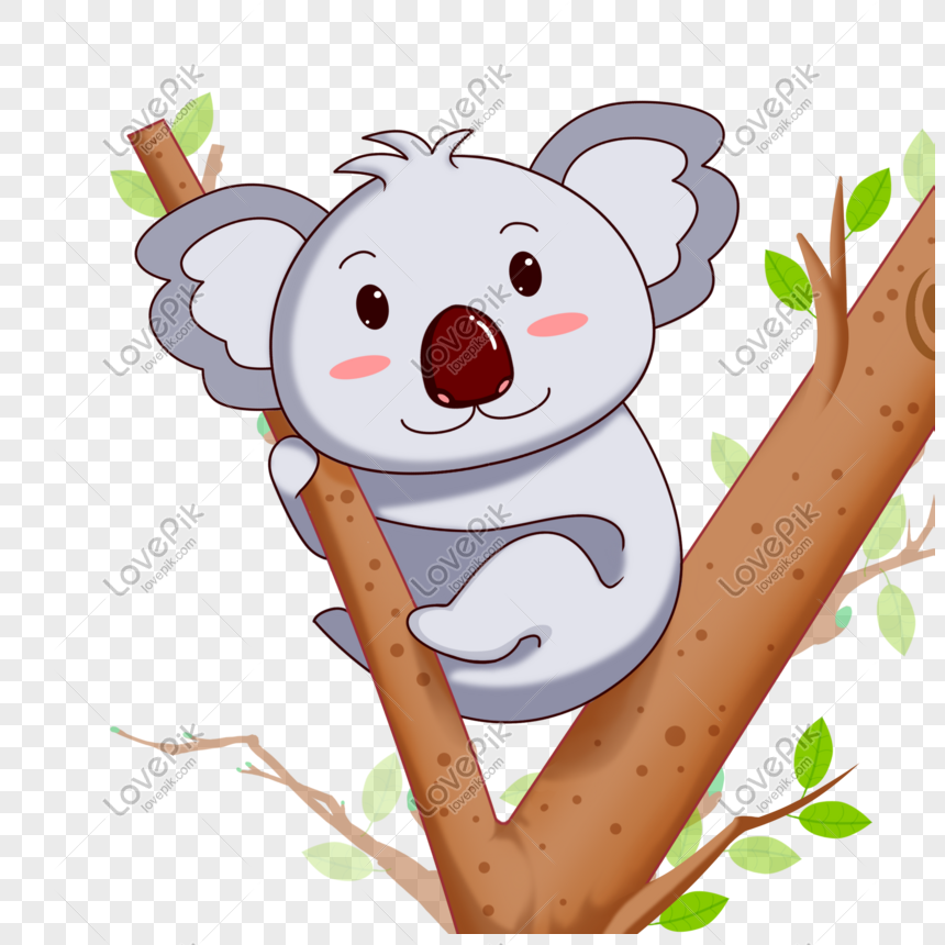 Detail Gambar Animasi Koala Nomer 9