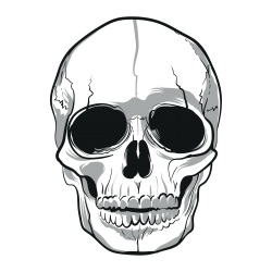Detail Motiv Totenkopf Zeichnen Nomer 5