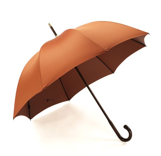 Detail Paar Unterm Regenschirm Nomer 25