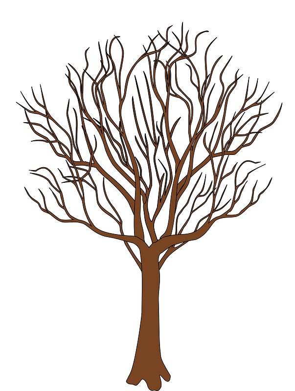 Detail Tree Without Leaves Png Nomer 11