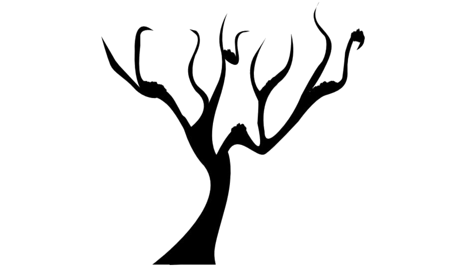 Detail Tree Without Leaves Png Nomer 20