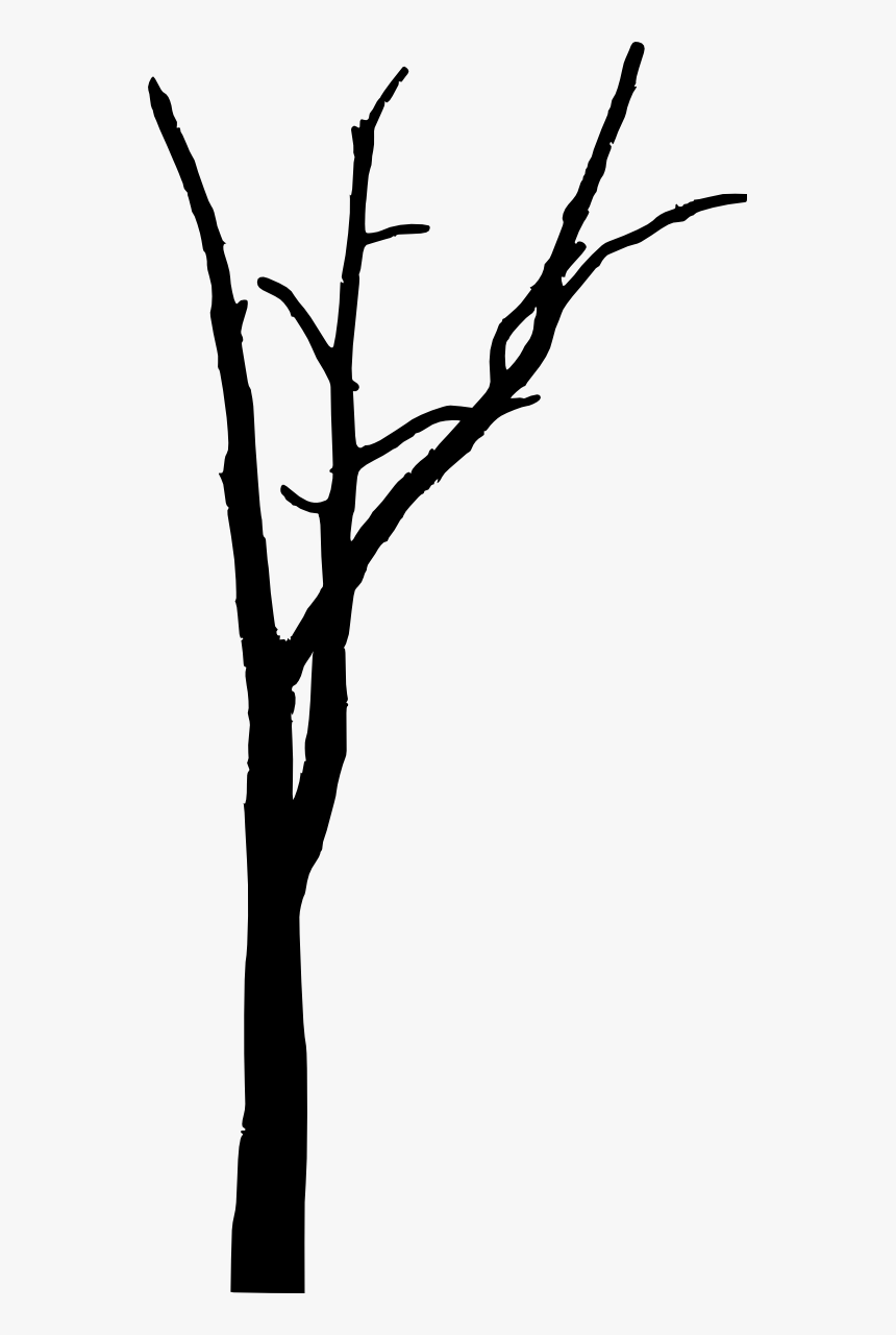 Detail Tree Without Leaves Png Nomer 8