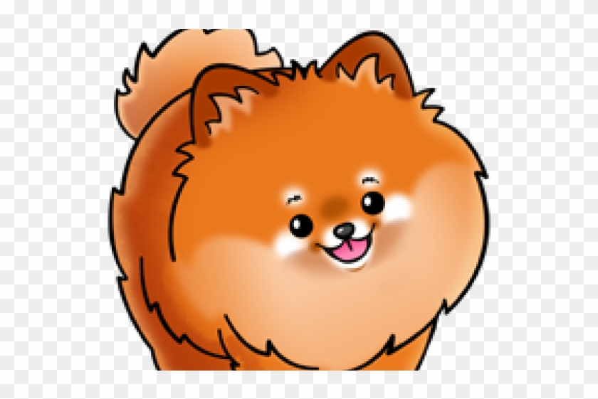 Detail Brown Pomeranian Nomer 26