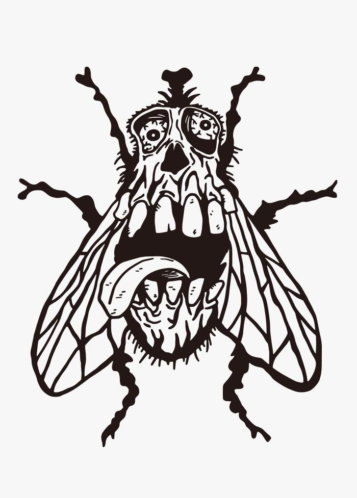 Detail Fly Drawing Nomer 24
