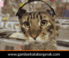 Download Gambar Animasi Kucing Bergerak Nomer 8