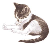 Detail Gambar Animasi Kucing Bergerak Lucu Nomer 7