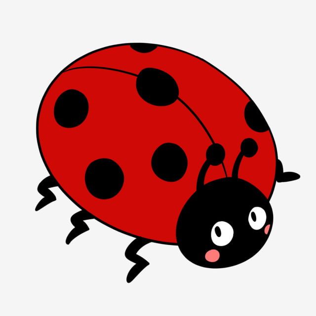 Gambar Animasi Kumbang - KibrisPDR