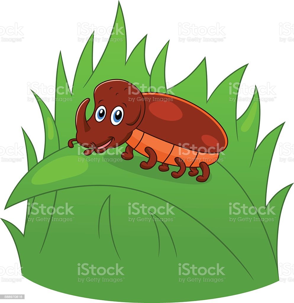 Detail Gambar Animasi Kumbang Nomer 39