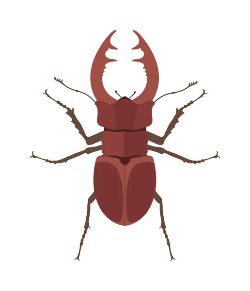 Detail Gambar Animasi Kumbang Nomer 43