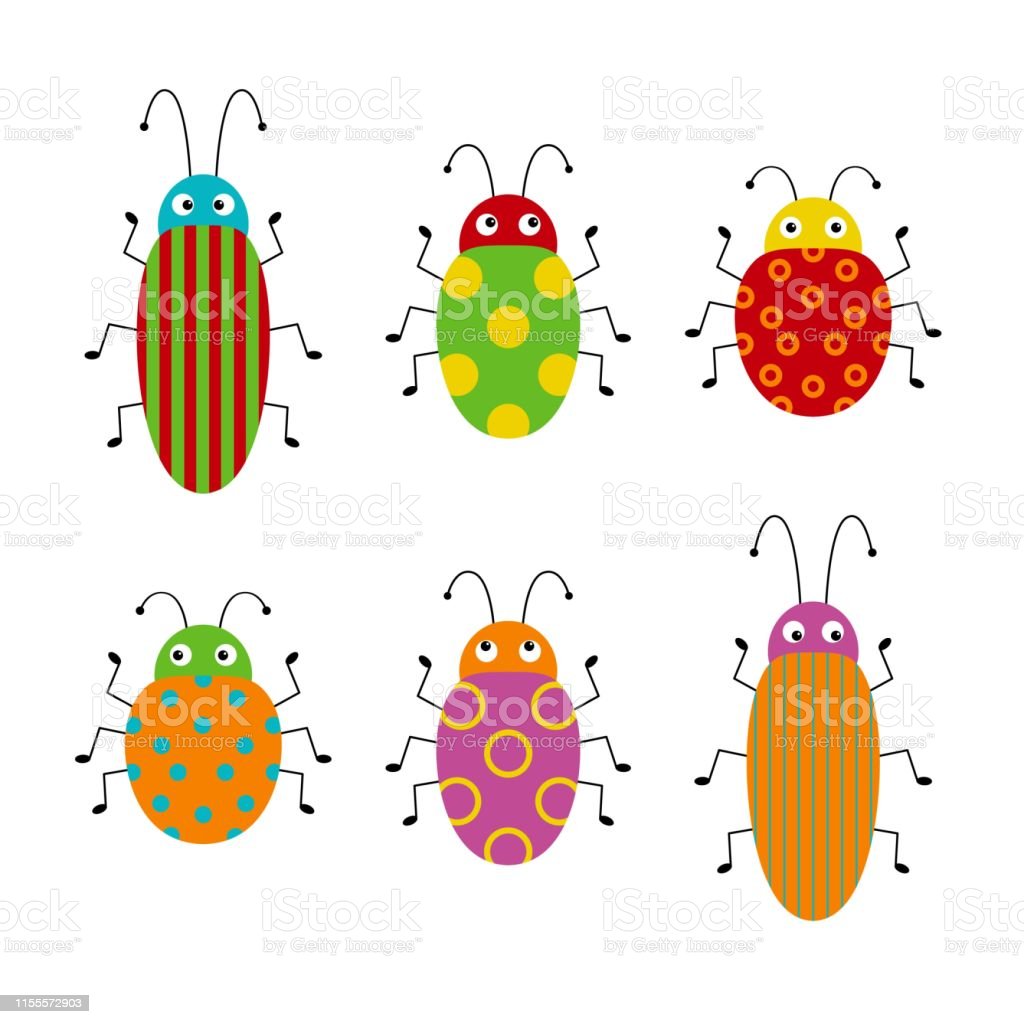 Detail Gambar Animasi Kumbang Nomer 45