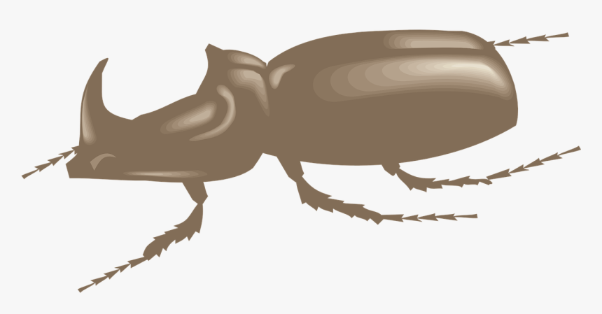Detail Gambar Animasi Kumbang Nomer 47