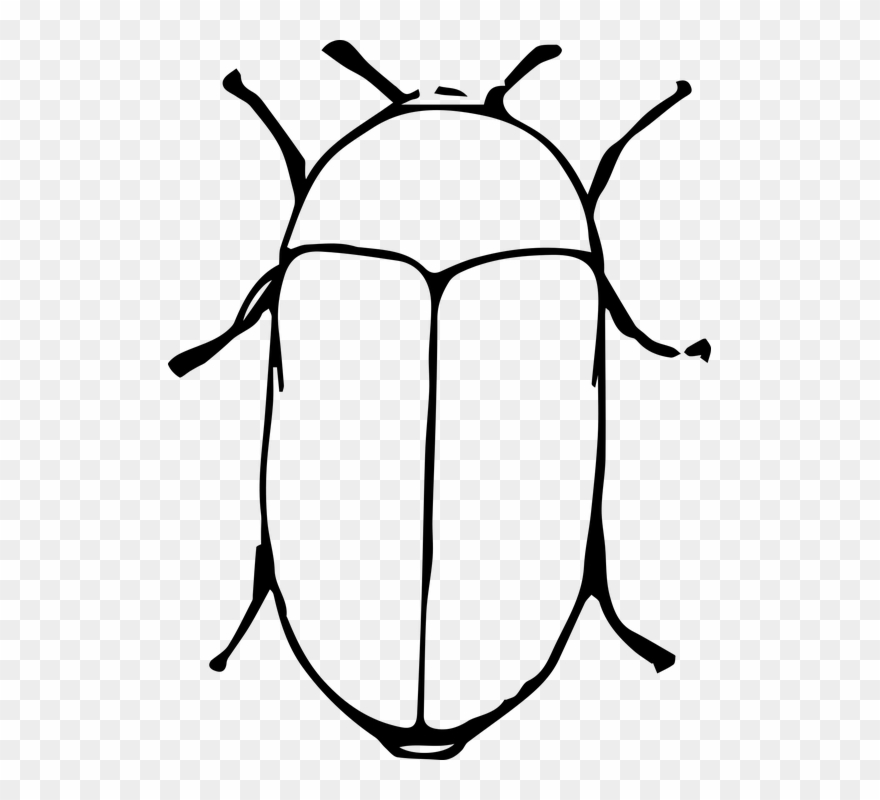 Detail Gambar Animasi Kumbang Nomer 54