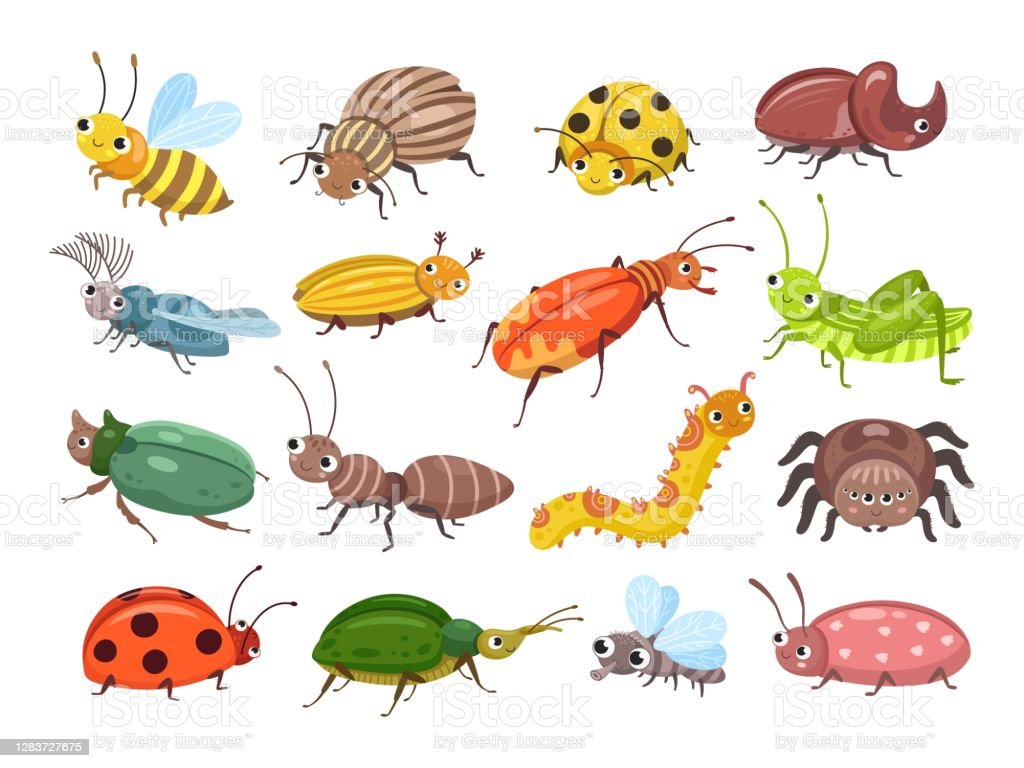 Detail Gambar Animasi Kumbang Nomer 7