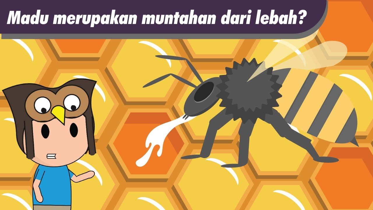 Detail Gambar Animasi Mengambil Madu Nomer 9