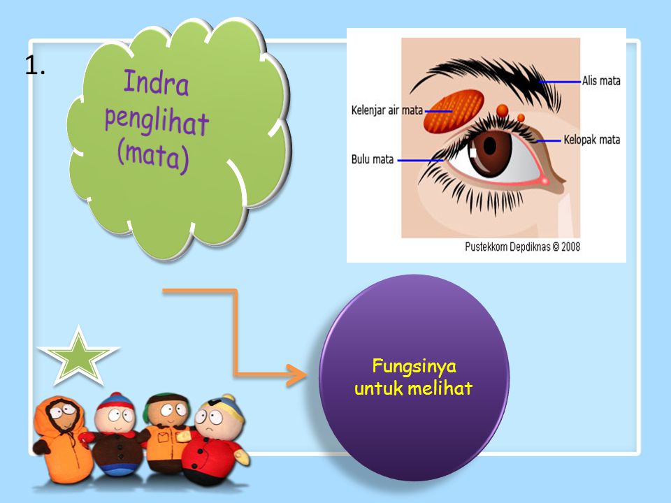 Detail Gambar Animasi Panca Indera Nomer 29