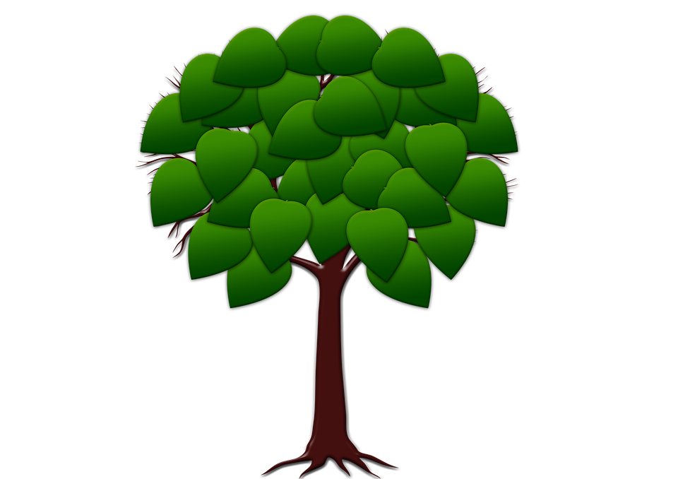 Detail Gambar Animasi Pohon Beringin Nomer 28