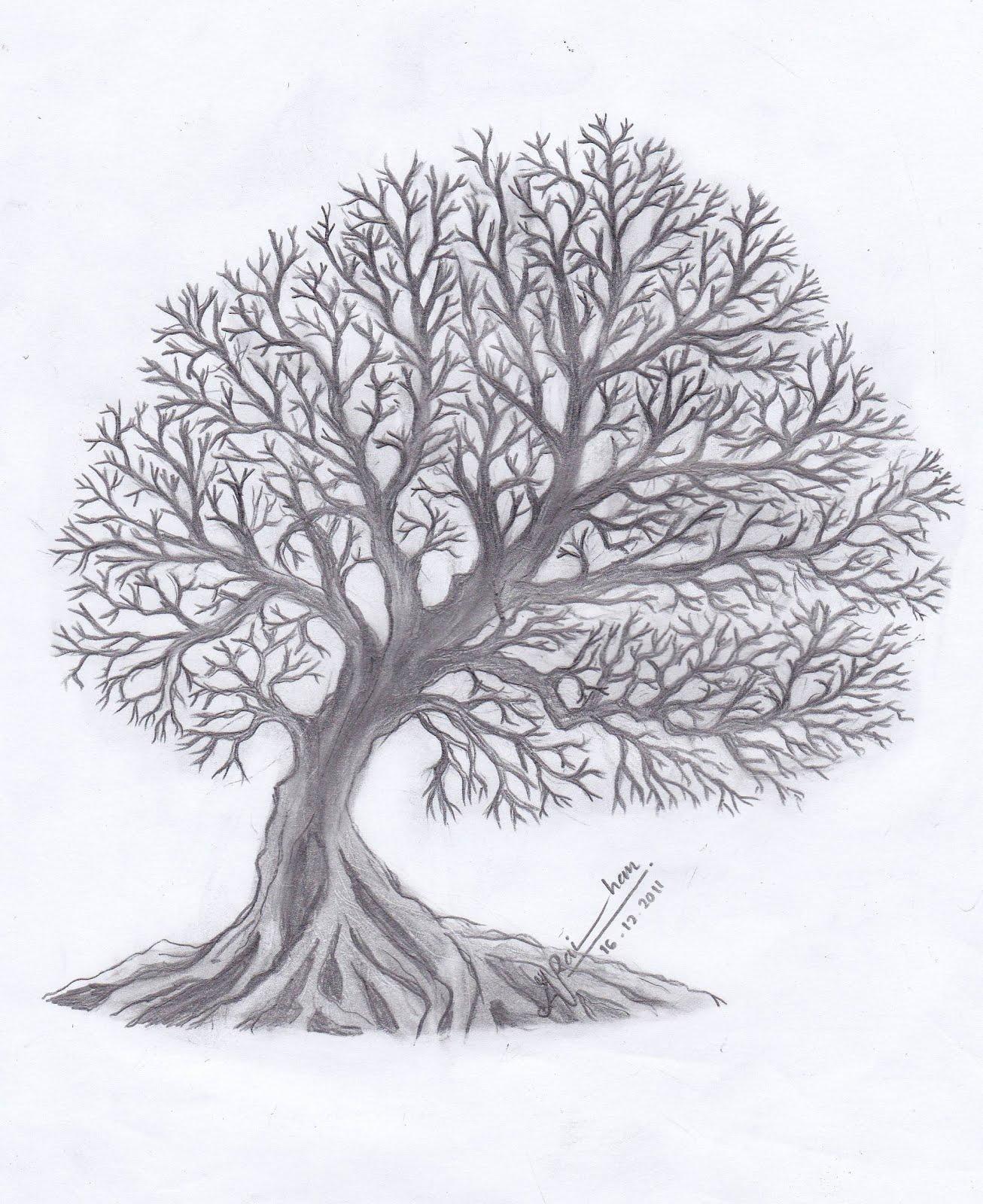 Detail Gambar Animasi Pohon Beringin Nomer 38