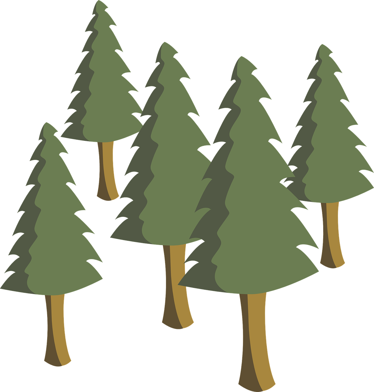 Detail Gambar Animasi Pohon Pinus Nomer 2