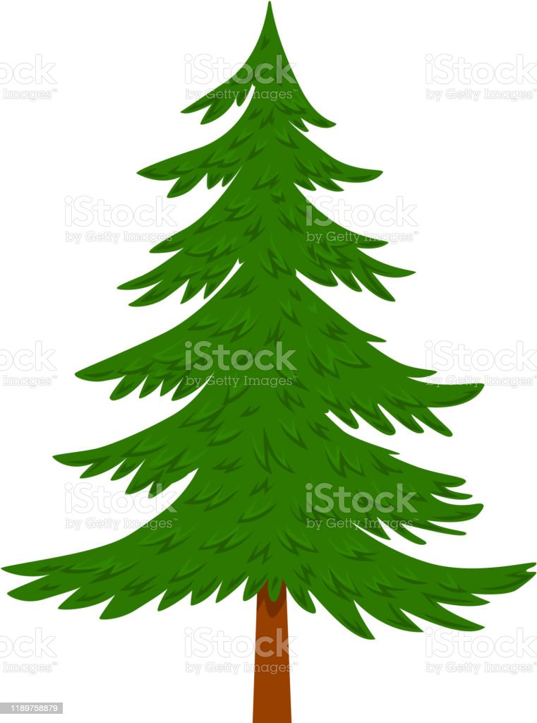 Detail Gambar Animasi Pohon Pinus Nomer 33